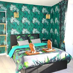 https://classtropical-appt-10mn-aeroport-roissy-cdg.fr-paris.fr